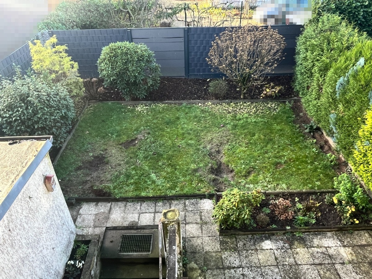 Blick in den Garten
