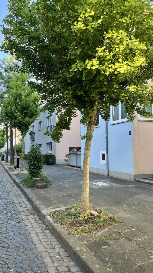 Wohngegend 2
